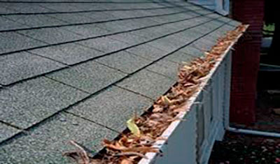 Gutter Cleaning